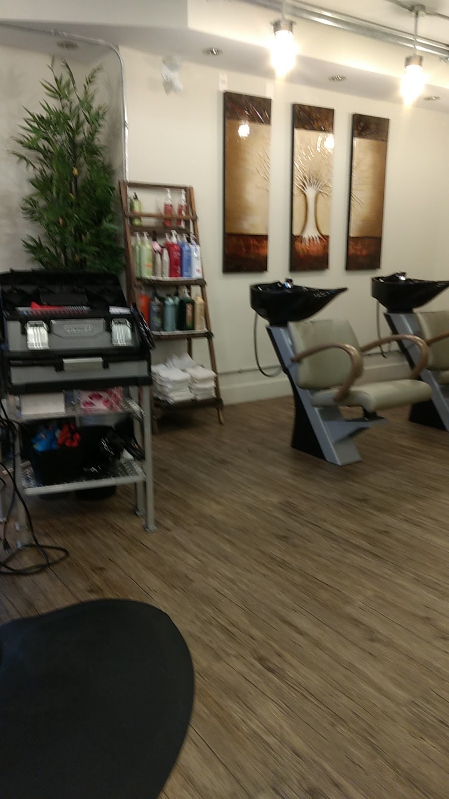 Lunaesthétique Haute Coiffure | 28 Rue Principale, Gatineau, QC J9H 3L1, Canada | Phone: (819) 557-3052