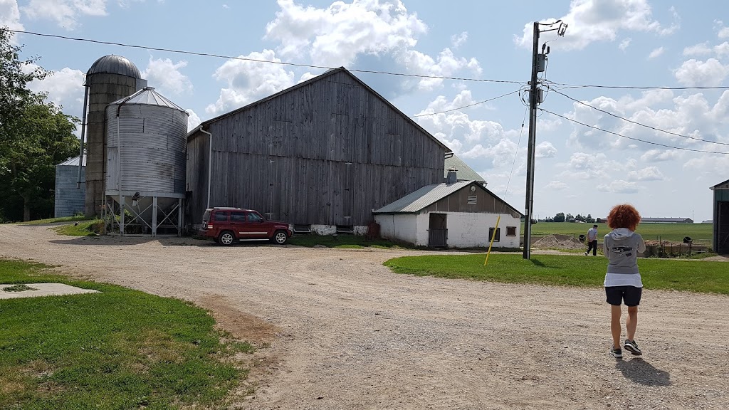 Gerth Excavating | 36 Adelaide St, Linwood, ON N0B 2A0, Canada | Phone: (519) 698-2100