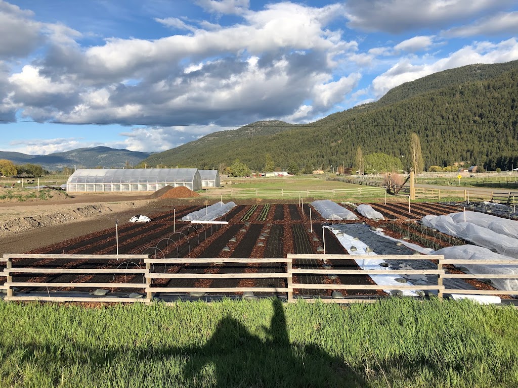 MacVicar Family Farm | 1889 Nicolls Rd, Merritt, BC V1K 1N7, Canada | Phone: (250) 936-8186