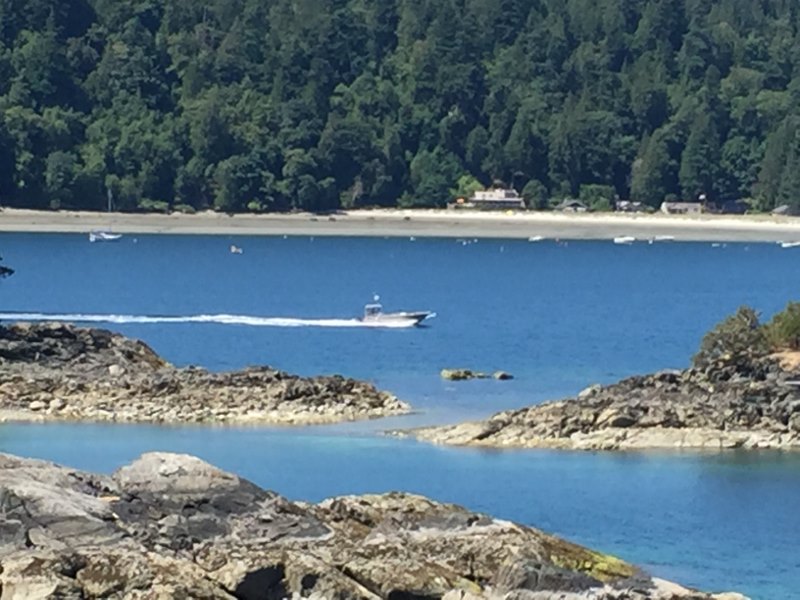 Buccaneer Marina | 5535 Sans Souci Rd, Halfmoon Bay, BC V0N 1Y2, Canada | Phone: (604) 885-7888