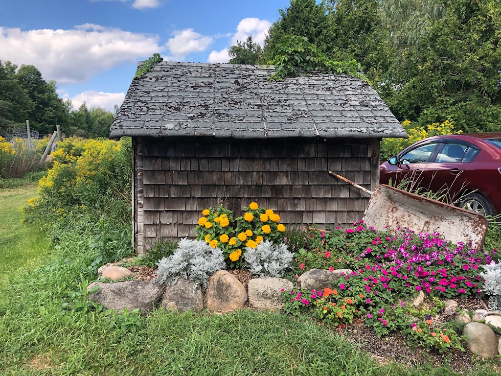 Lilli Energy Healing | 6115 1 Line, Erin, ON L0N 1N0, Canada | Phone: (519) 939-9086
