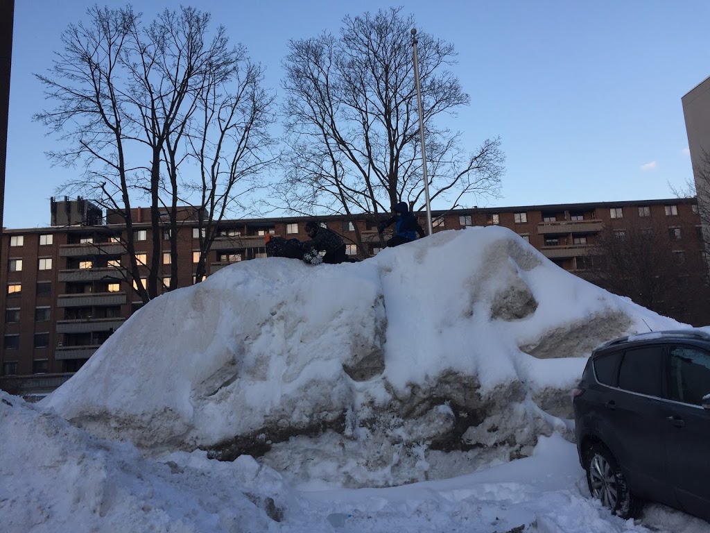 Place de LAuthion | 5975 Avenue de lAuthion, Montréal, QC H1M 2W3, Canada | Phone: (514) 653-5959