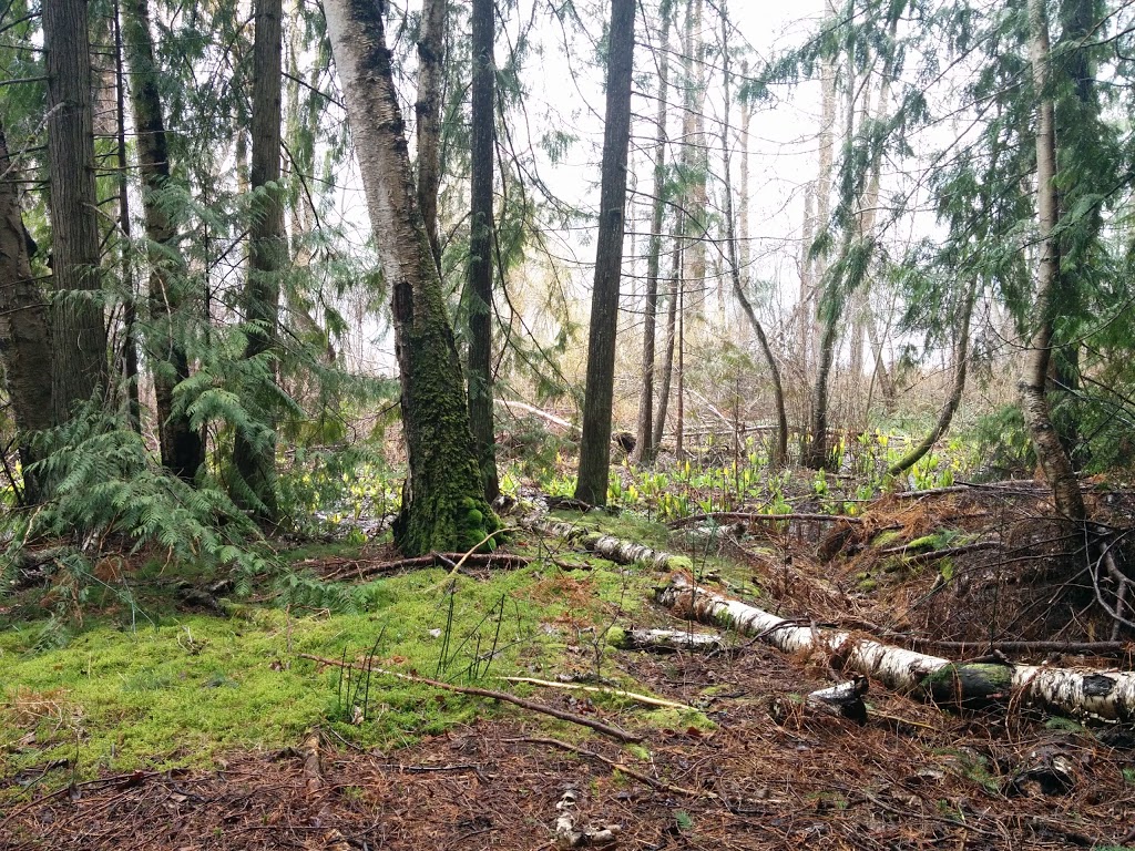Mara Provincial Park | 8265 Vernon-Sicamous Hwy, Mara, BC V0E 2K0, Canada | Phone: (250) 548-0076