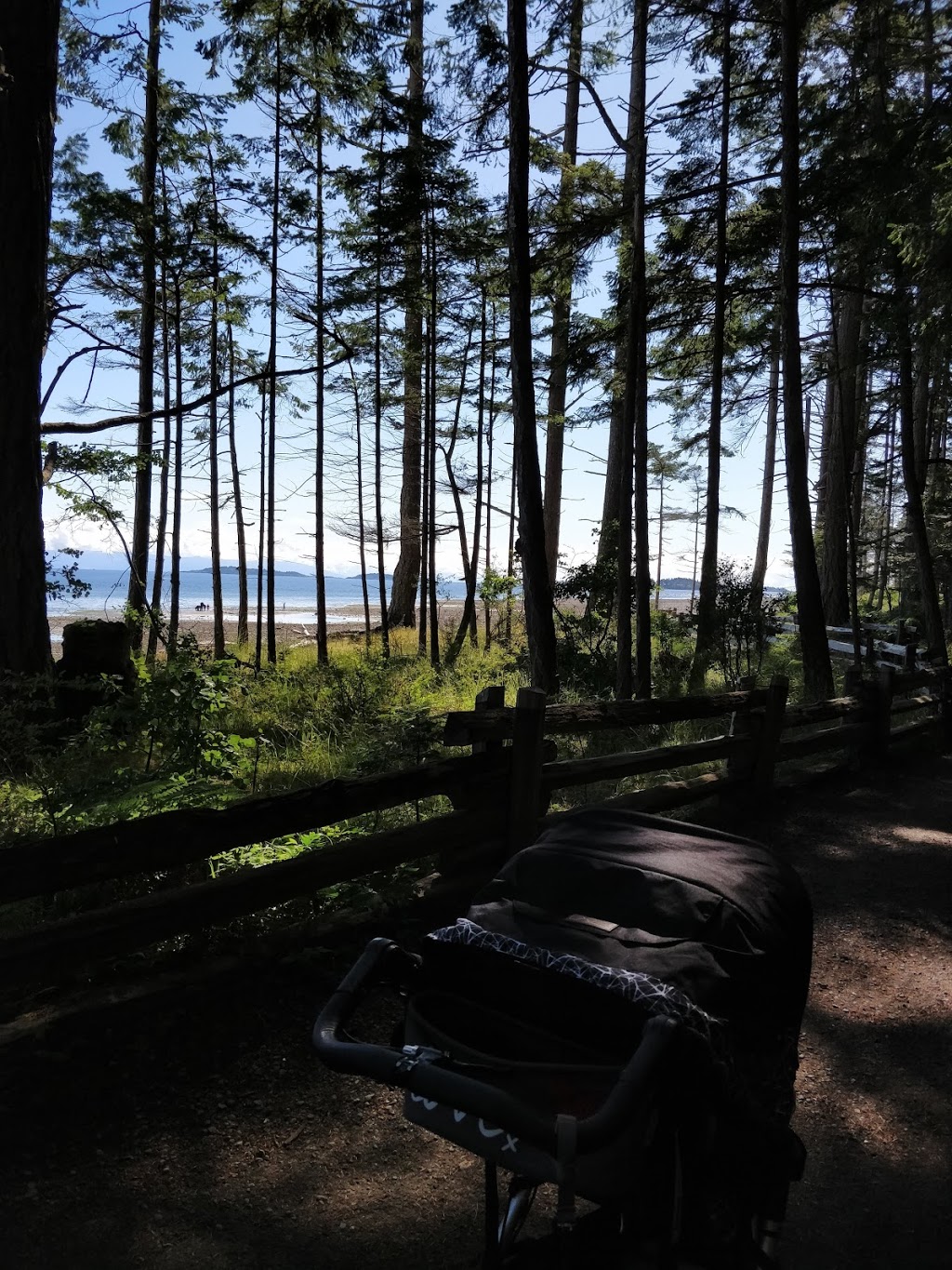 Rathtrevor Beach Campground | 1240 Rath Rd, Parksville, BC V9P 2E2, Canada | Phone: (250) 474-1336