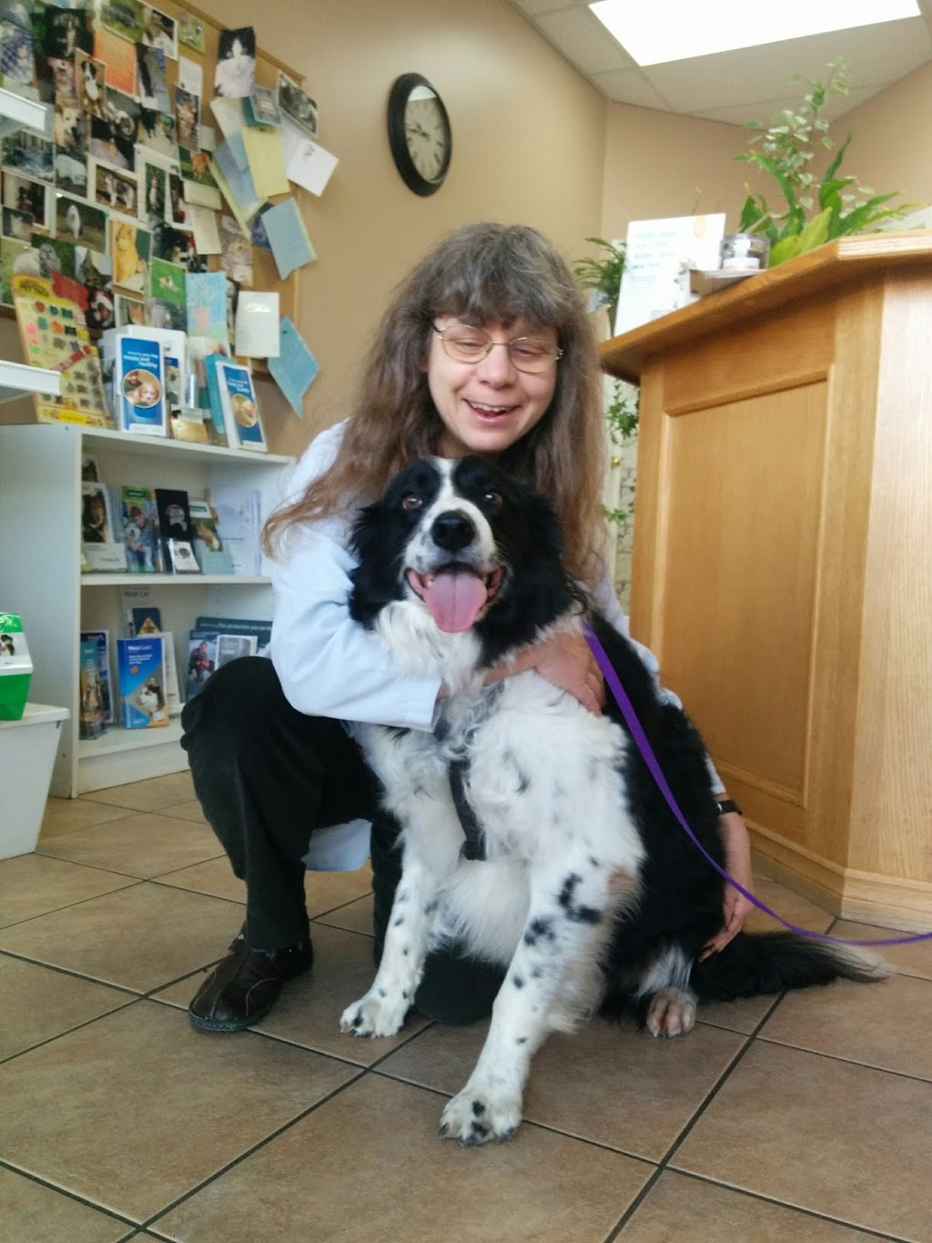 Country Meadows Pet Hospital | 20691 Lougheed Hwy #16, Maple Ridge, BC V2X 2P9, Canada | Phone: (604) 460-1428