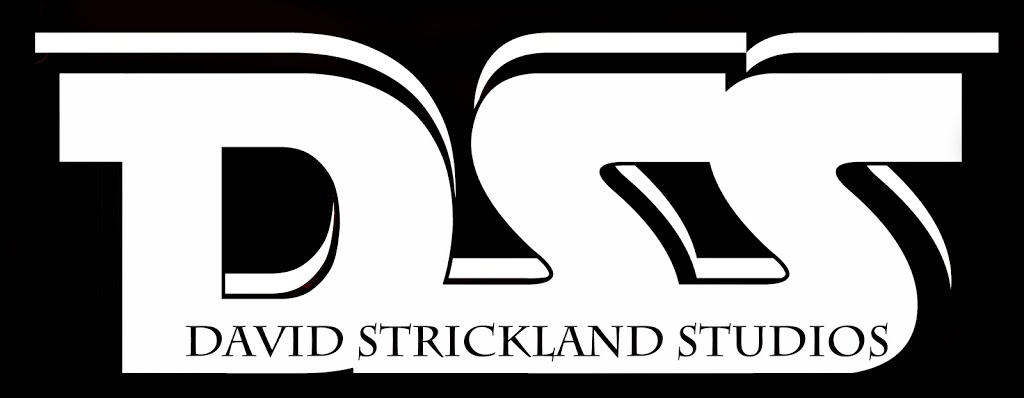 David Strickland Studio | 161 Beecroft Rd, North York, ON M2N 6G9, Canada | Phone: (315) 352-0921