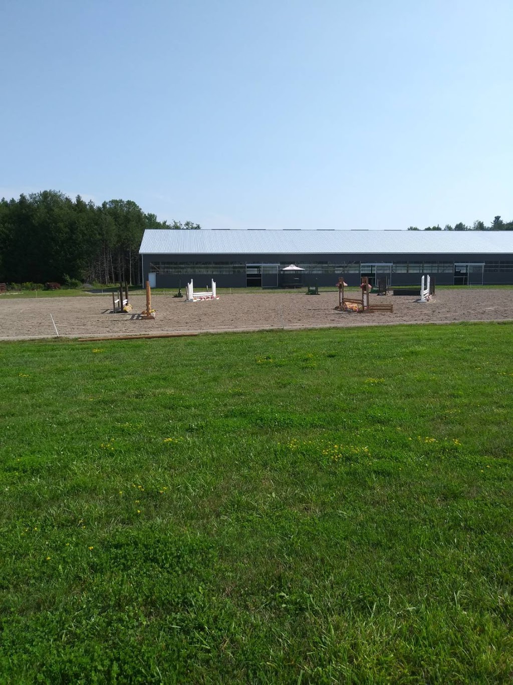 Glamorgan Farm | 433 Foxboro Stirling Rd, Foxboro, ON K0K 2B0, Canada | Phone: (613) 962-7573