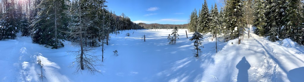 Parc Régional Val-David - Val-Morin | 1175 Rue de la Sapinière, Val-David, QC J0T 2N0, Canada | Phone: (819) 322-2834