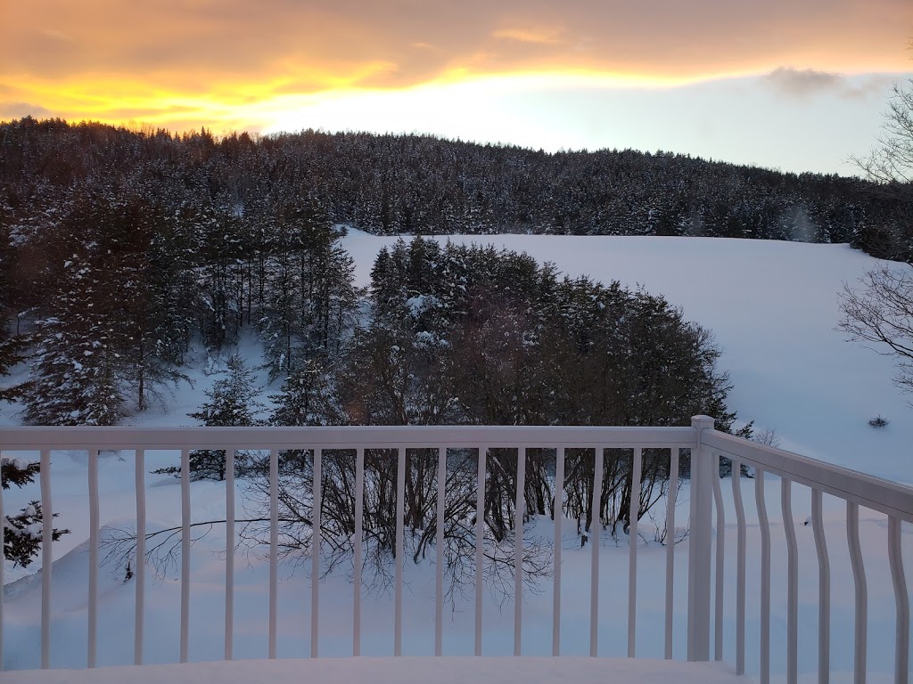 Gîte Les Petites Mésanges | 1067 Boulevard Mgr de Laval, Baie-Saint-Paul, QC G3Z 2W7, Canada | Phone: (418) 760-8440