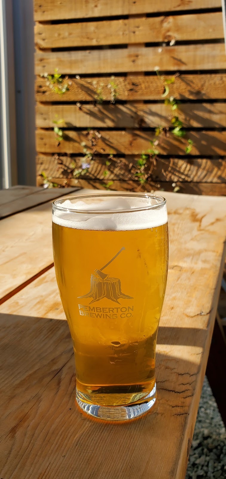 PEMBERTON BREWING COMPANY | 1936 Stonecutter Pl, Mount Currie, BC V0N 2K0, Canada | Phone: (604) 894-2337