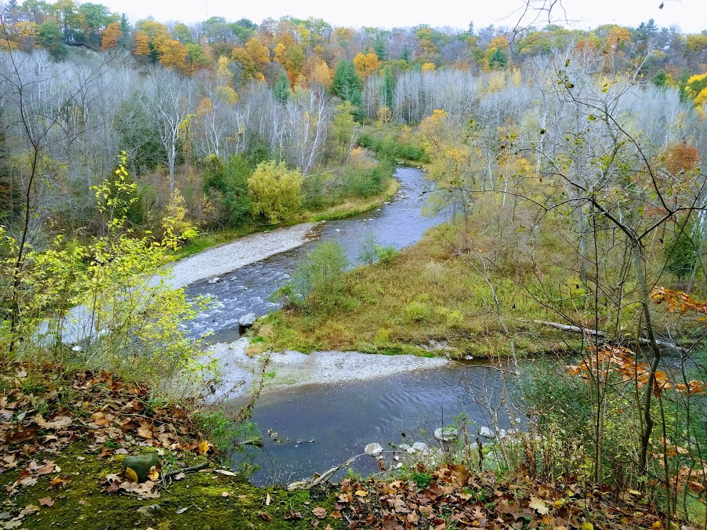 Glen Eagles Vista | 7 Twyn Rivers Dr, Toronto, ON M1B, Canada | Phone: (416) 282-8265