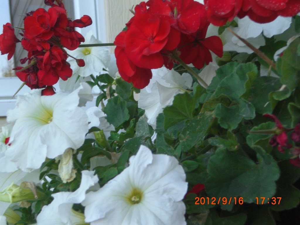 Gîte La Veilleuse | 1073 Rue du Patrimoine, Cacouna, QC G0L 1G0, Canada | Phone: (418) 862-8353