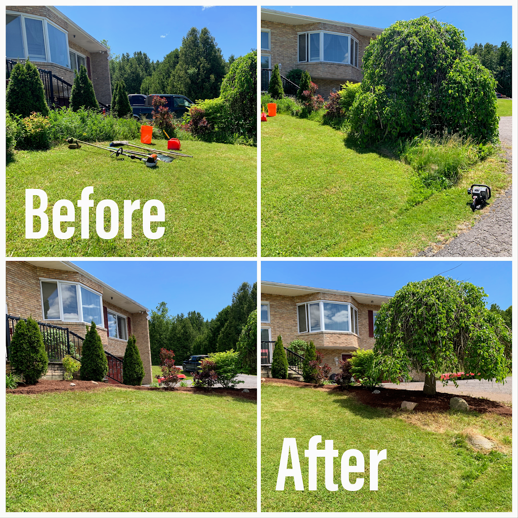 All In One Property Service | 9670 Beavermeadow Rd E, Baltimore, ON K0K 1C0, Canada | Phone: (289) 251-8016
