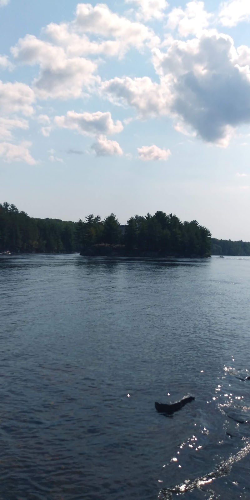Misaël Fontaine Island | Shawinigan, QC G9N, Canada