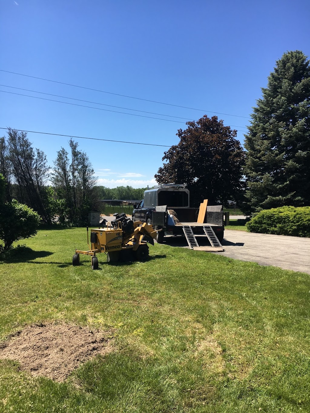 Arbor Borealis tree service | 136 Richardson Dr, Port Dover, ON N0A 1N4, Canada | Phone: (519) 909-9413