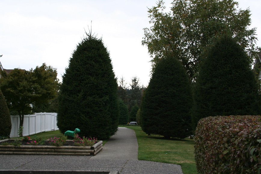 Halston Hills Housing Co-Operative | 8868 Horne St, Burnaby, BC V3N 4T1, Canada | Phone: (604) 421-8320