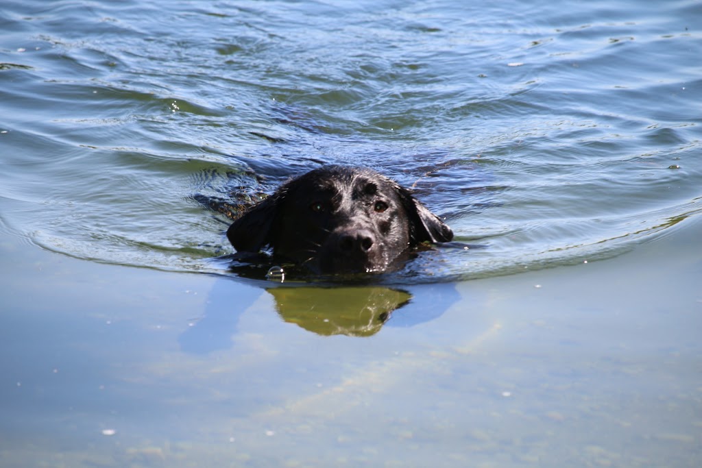 Snyders Flats Conservation Area | 1260 Snyders Flats Rd, Bloomingdale, ON N0B 1K0, Canada | Phone: (519) 621-2761
