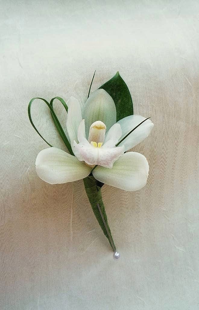 LAILA DECOR | Vanderbilt Rd, Mississauga, ON L5N 4W8, Canada | Phone: (905) 814-7726