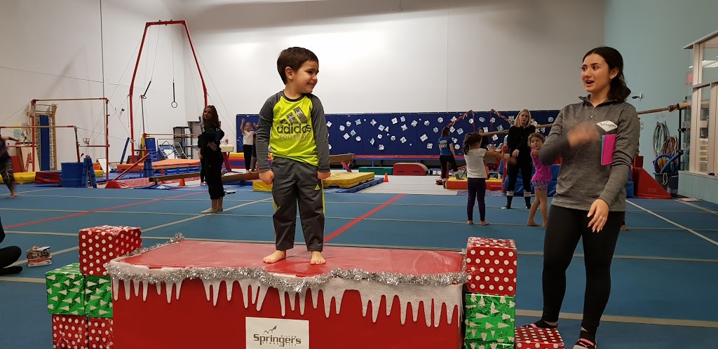 Milton Springers Gymnastics Club | 605 Santa Maria Blvd, Milton, ON L9T 6J5, Canada | Phone: (905) 878-5030