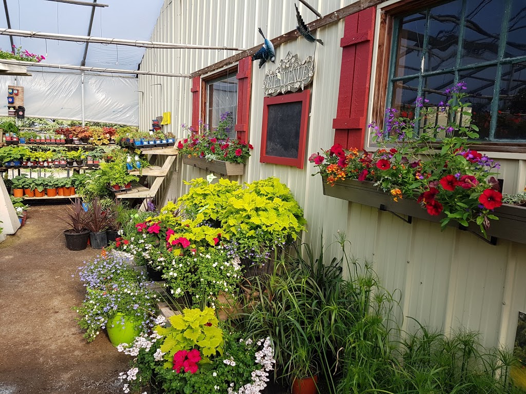 Serres & Pepiniere Champlain | 506 Rang Palmer, Saint-Sébastien, QC J0J 2C0, Canada | Phone: (450) 244-5891