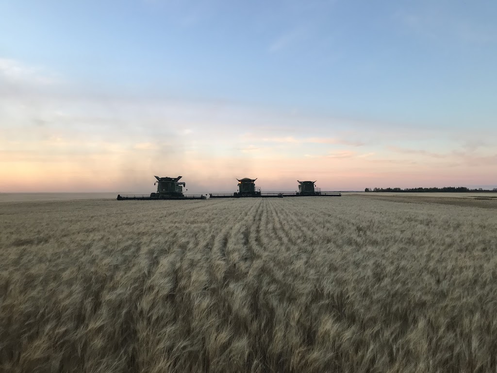 GJ Cattle & Crop Inc. | Box 117, Marquis, SK S0H 2X0, Canada | Phone: (306) 631-5639