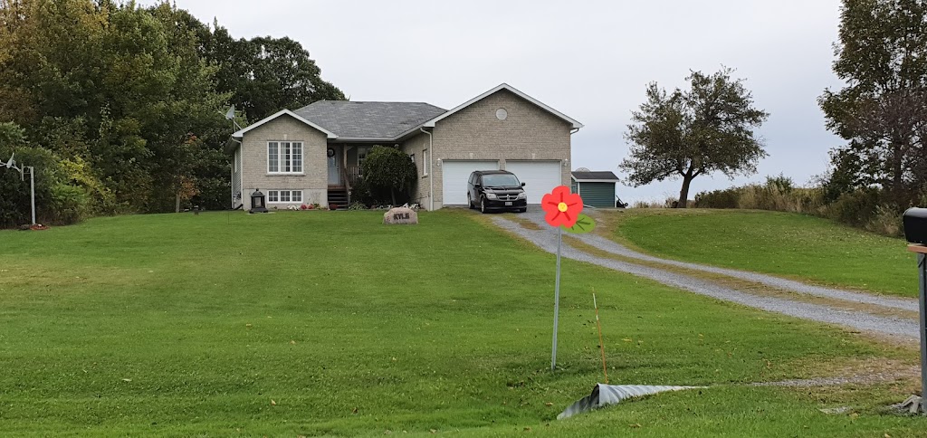 Blazing Saddles Farm | 433 County Rd 95, Wolfe Island, ON K0H 2Y0, Canada | Phone: (613) 572-5338