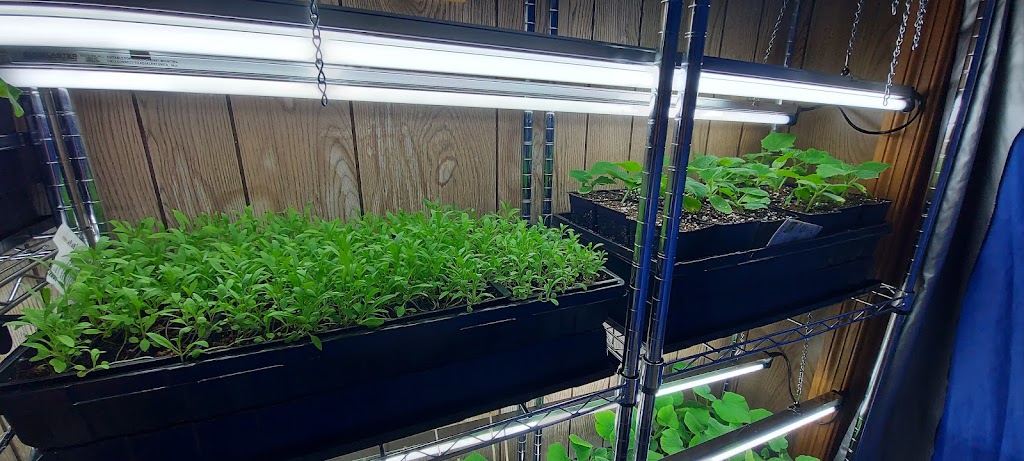 Yield Of Dreams Hydroponics | 1 Industrial Park Rd, South River, ON P0A 1X0, Canada | Phone: (905) 954-1476
