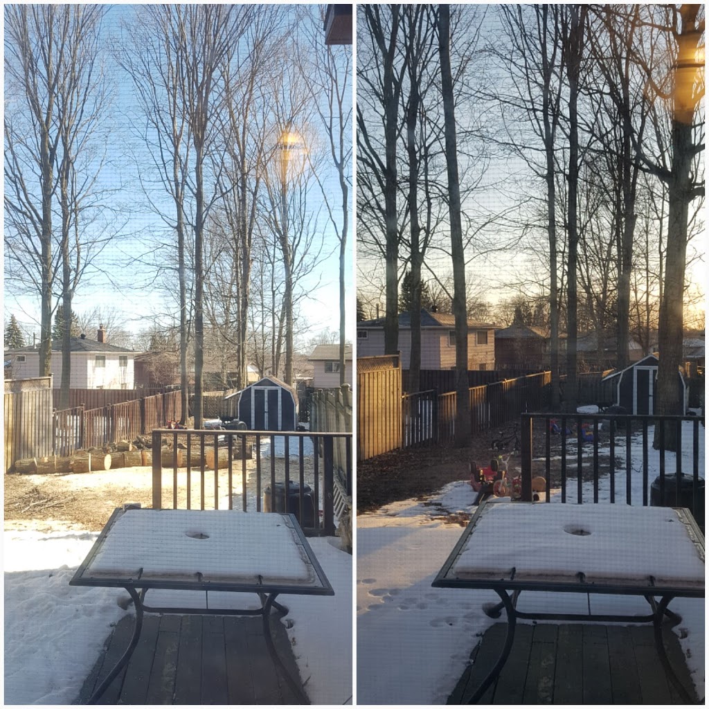 Brads Tree Service | 5413 County Rd 90, Utopia, ON L0M 1T0, Canada | Phone: (705) 607-2684