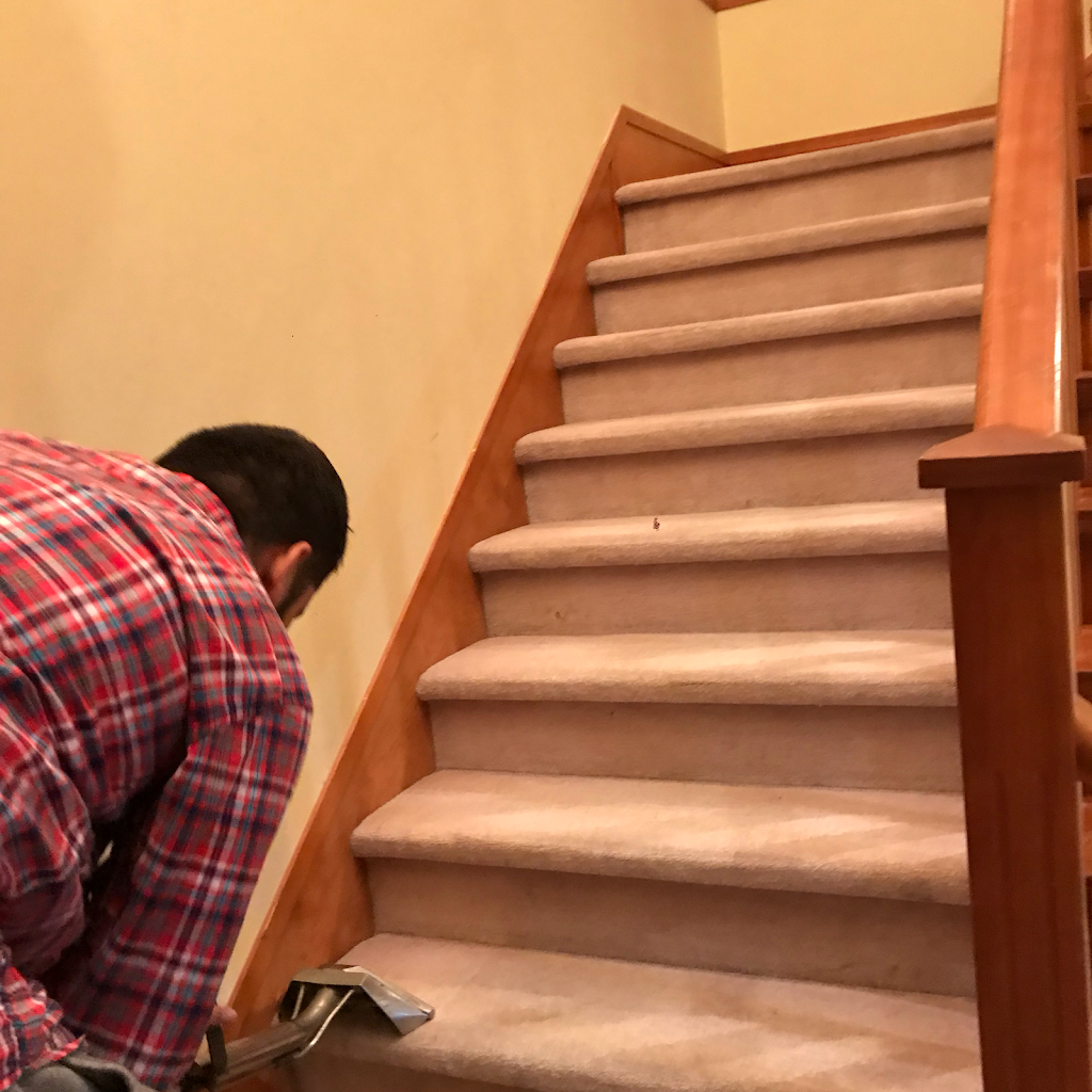 A1 Carpet And upholstery cleaning Surrey,Langley,Delta | 14435 Chartwell Dr, Surrey, BC V3S 5E3, Canada | Phone: (604) 442-6405
