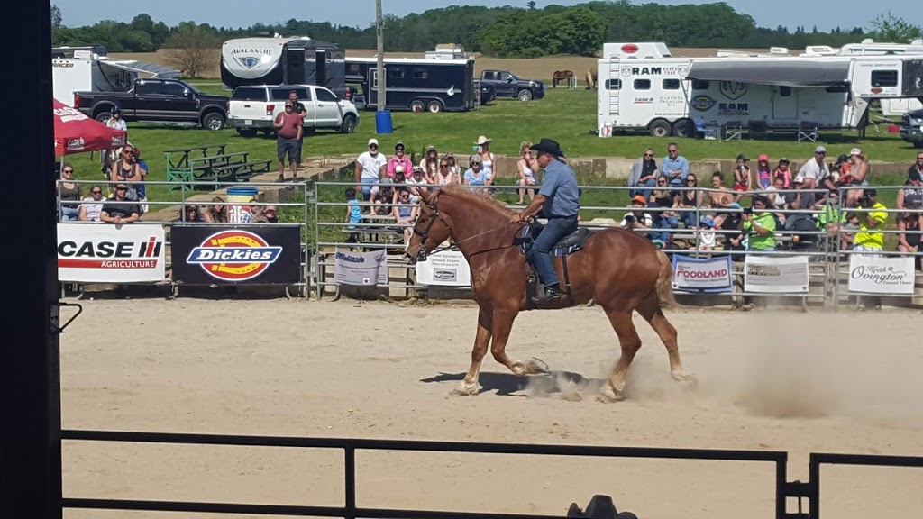 Burford Fairgrounds | Park Ave, Brant, ON N0E, Canada | Phone: (519) 449-5694