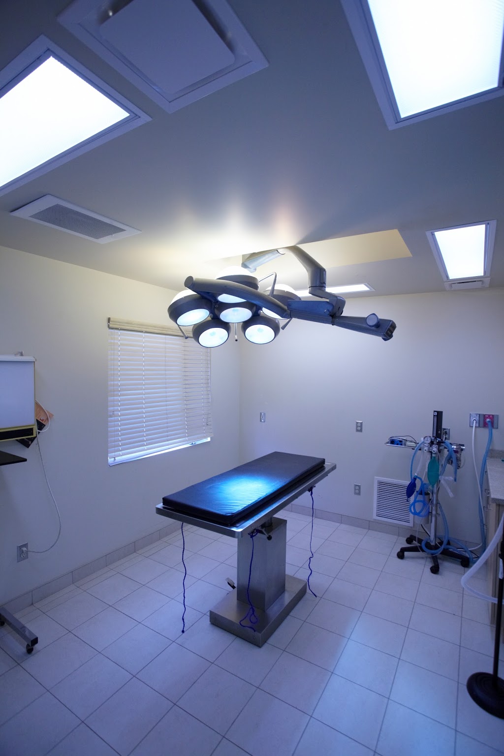 Chelmsford Animal Hospital | 3147 Laura Dr, Chelmsford, ON P0M 1L0, Canada | Phone: (705) 855-8869