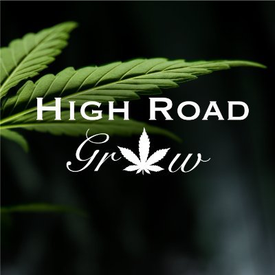 High Road Grow | 4603 Perth County Rd 135, Sebringville, ON N0K 1X0, Canada | Phone: (519) 503-1405