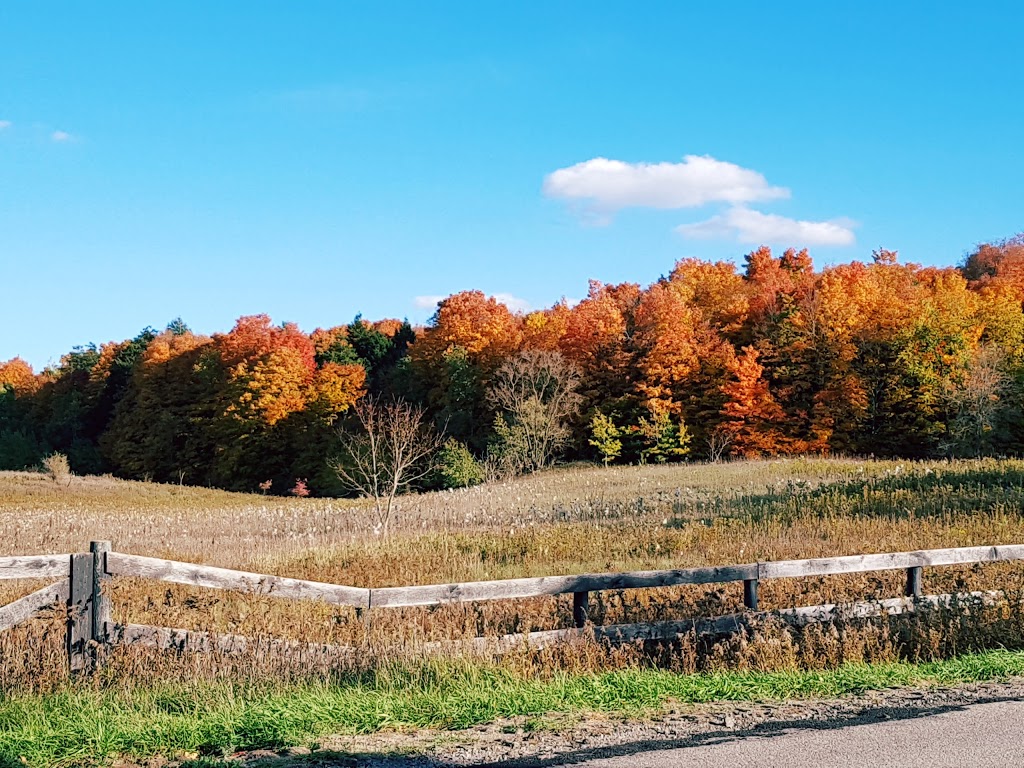 Palgrave Park | 17255 Mt Hope Rd, Palgrave, ON L7E 3L9, Canada | Phone: (905) 584-2272