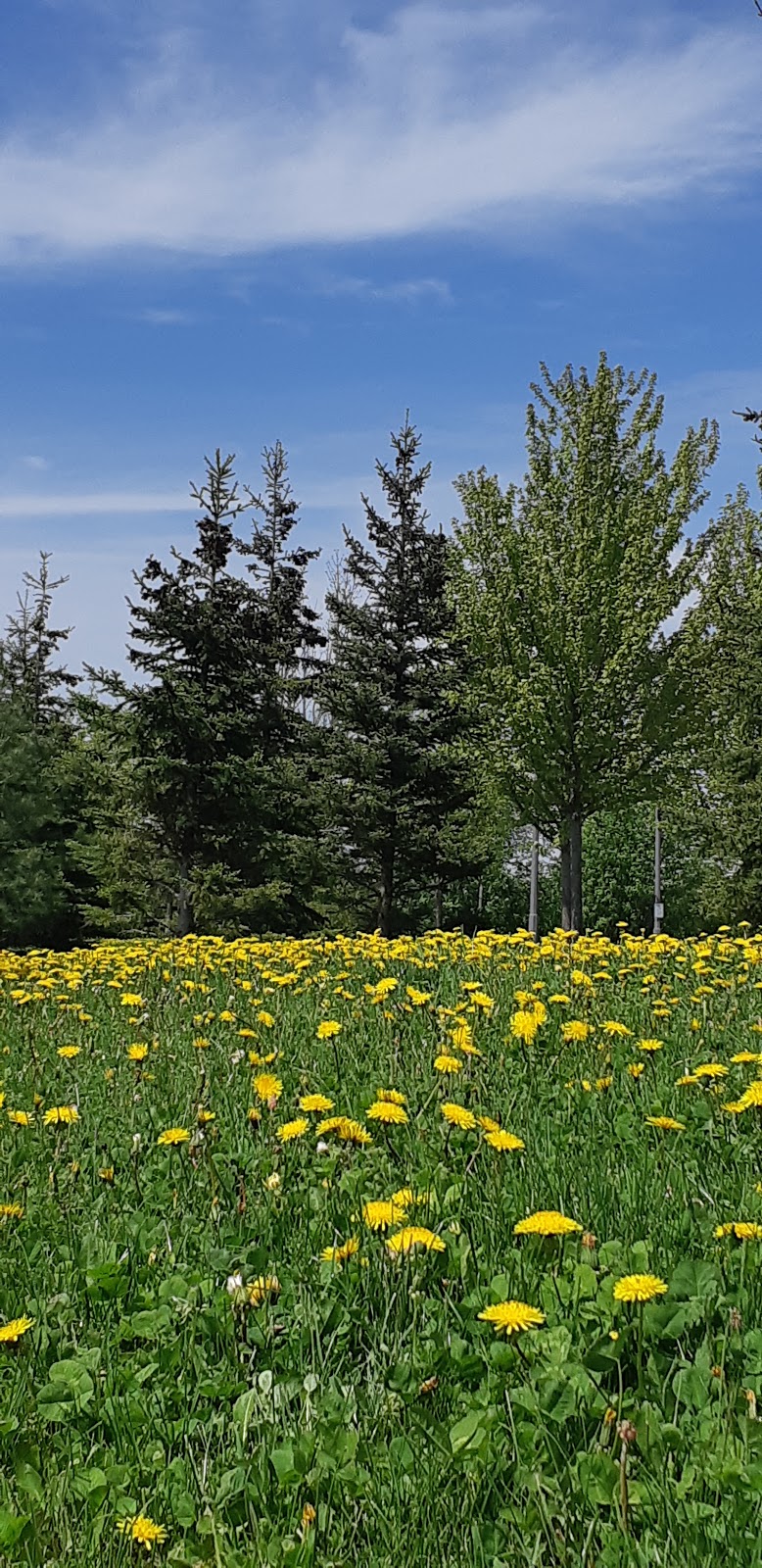 Madori Park | Millard St, Whitchurch-Stouffville, ON L4A 0C2, Canada