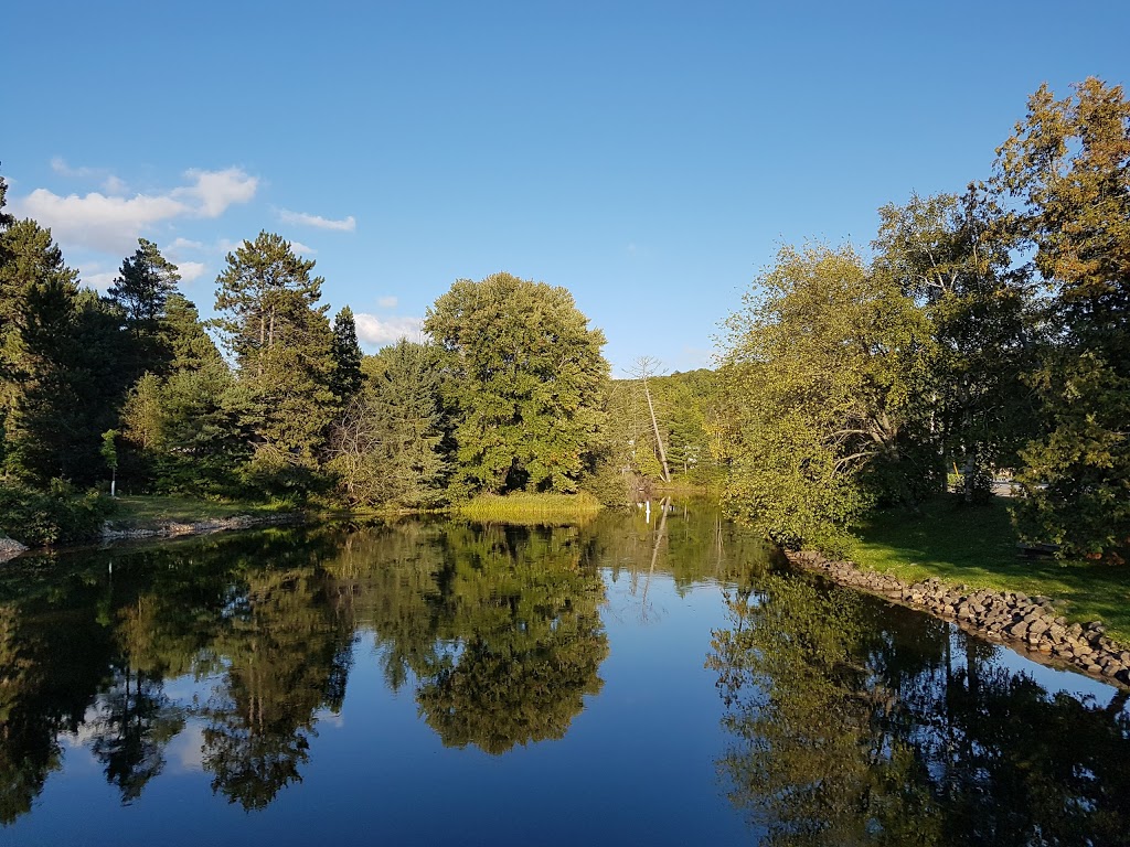 Wild Swan Bed & Breakfast Inn | 65 Invergordon Ave, Minden, ON K0M 2K0, Canada | Phone: (705) 286-3020