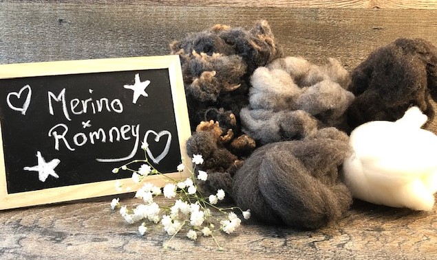 Naturally For Ewe | 823 Oakland Pl, Devon, AB T9G 2H8, Canada | Phone: (780) 446-4824