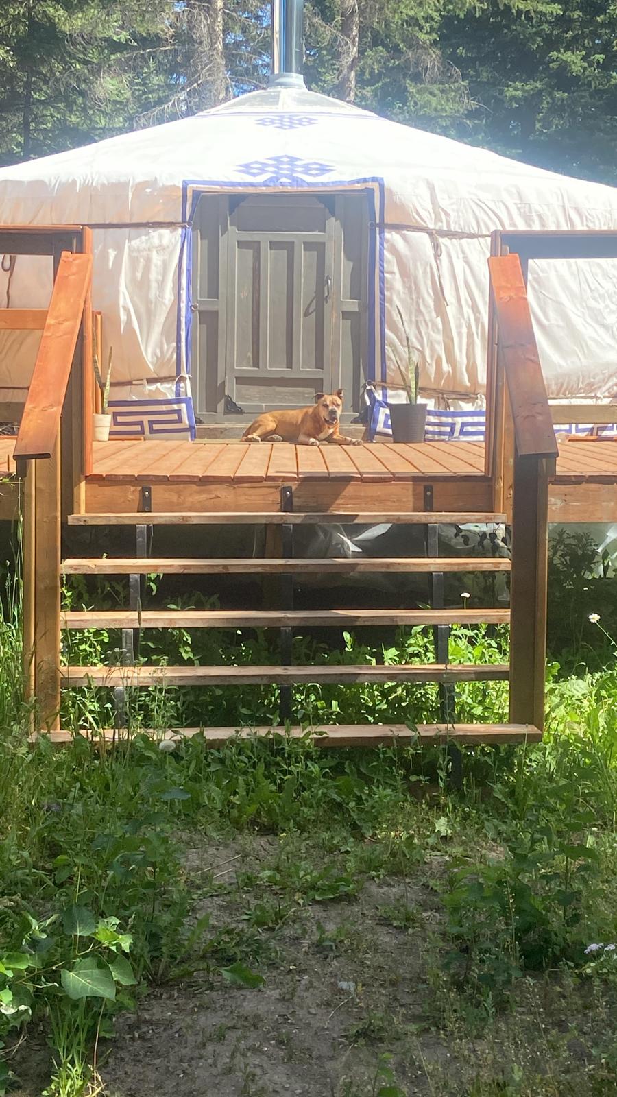 The Yurt Experience | 5324 Range Rd 25A, Pincher Creek No. 9, AB T0K 1W0, Canada | Phone: (403) 432-0234