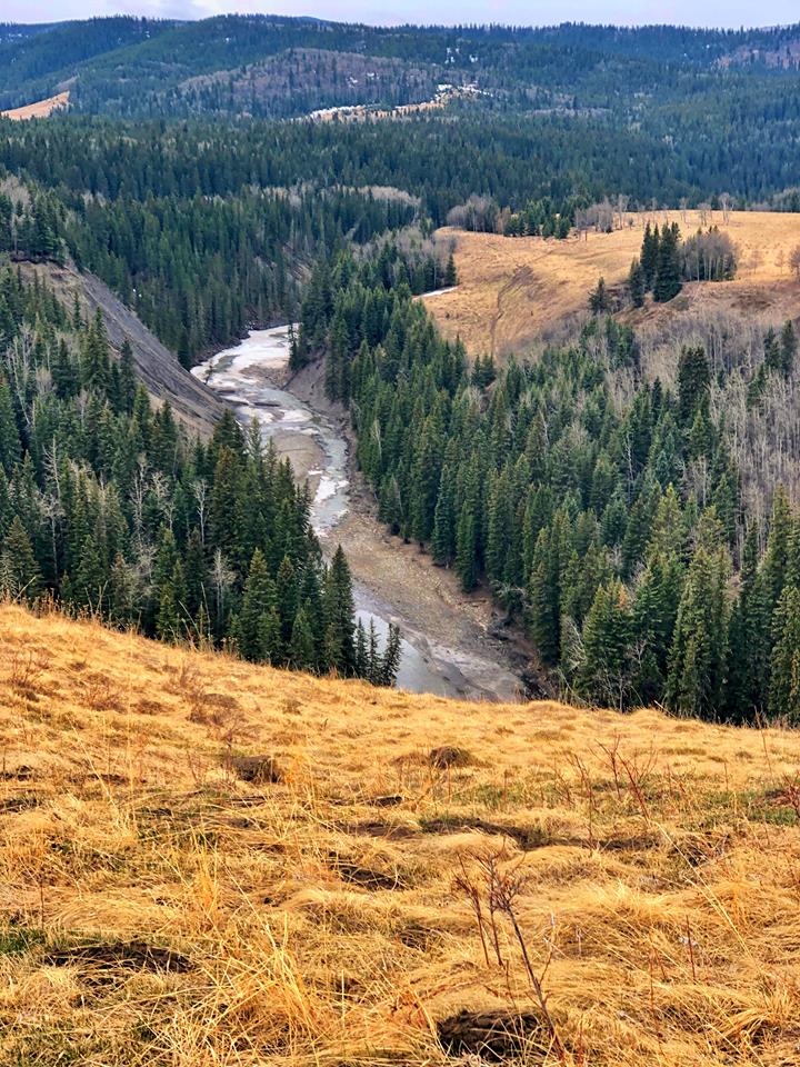 High Noon Hills | 4281 Sheep River Rd, Millarville, AB T0L 1K0, Canada