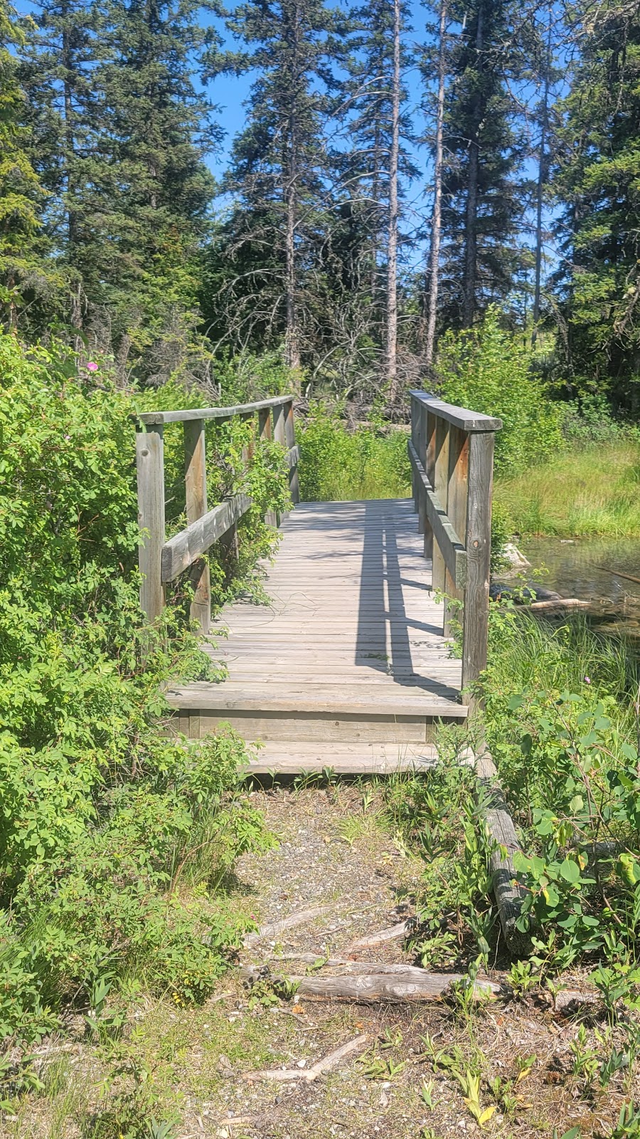 Big Bar Lake Provincial Park | Big Bar Rd, Clinton, BC V0K 1K0, Canada | Phone: (250) 320-9305