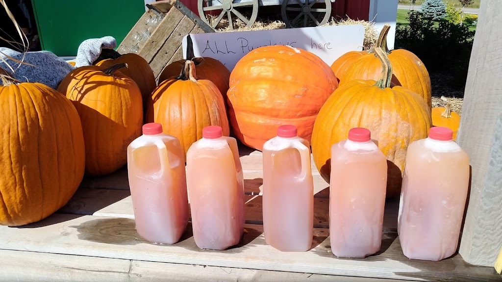The Grove Orchard And U-Pick | 2100 PE-248, Warren Grove, PE C0A 1H5, Canada | Phone: (902) 628-7434