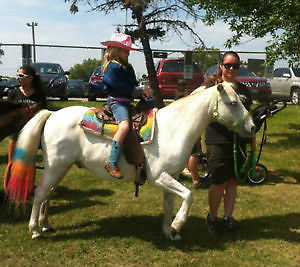 Clowns Magicians & More | 980 Kimberly Ave, Winnipeg, MB R2K 3S9, Canada | Phone: (204) 663-1000