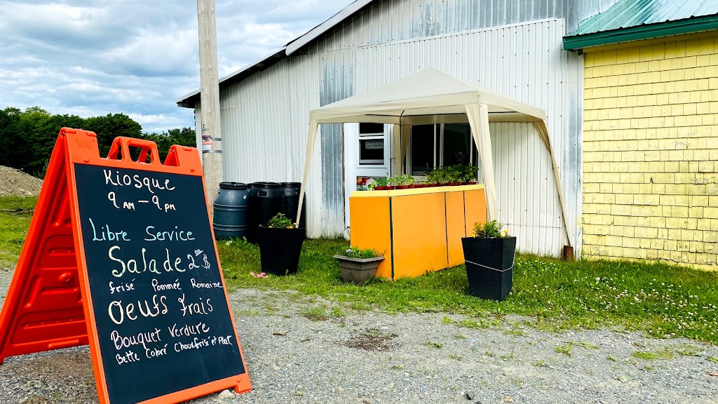 La Ferme Flanc Sud | 60 Rang Saint-Jean-Baptiste, Saint-Fabien-de-Panet, QC G0R 2J0, Canada | Phone: (418) 408-0084