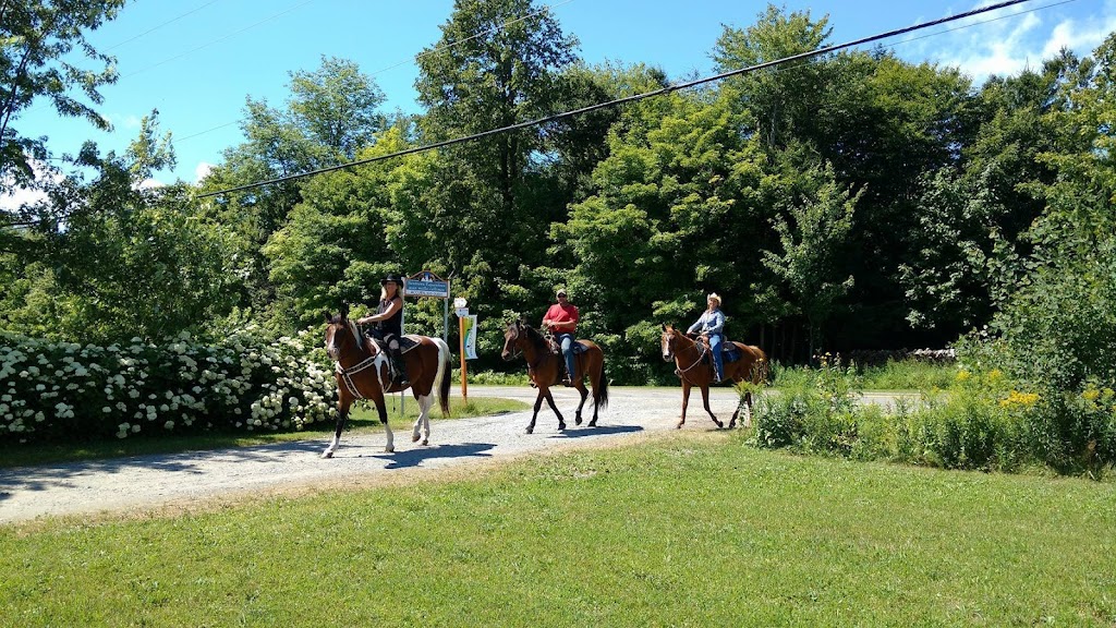 Sentiers équestres aux mille collines | 74 Rang 1 Centre, Notre-Dame-de-Ham, QC G0P 1C0, Canada | Phone: (819) 350-2107