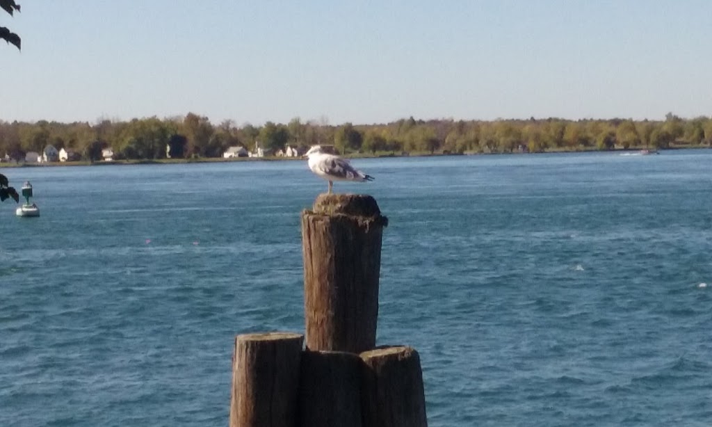 Black Rock Canal Park | Aqua Ln, Buffalo, NY 14207, USA | Phone: (716) 352-7756