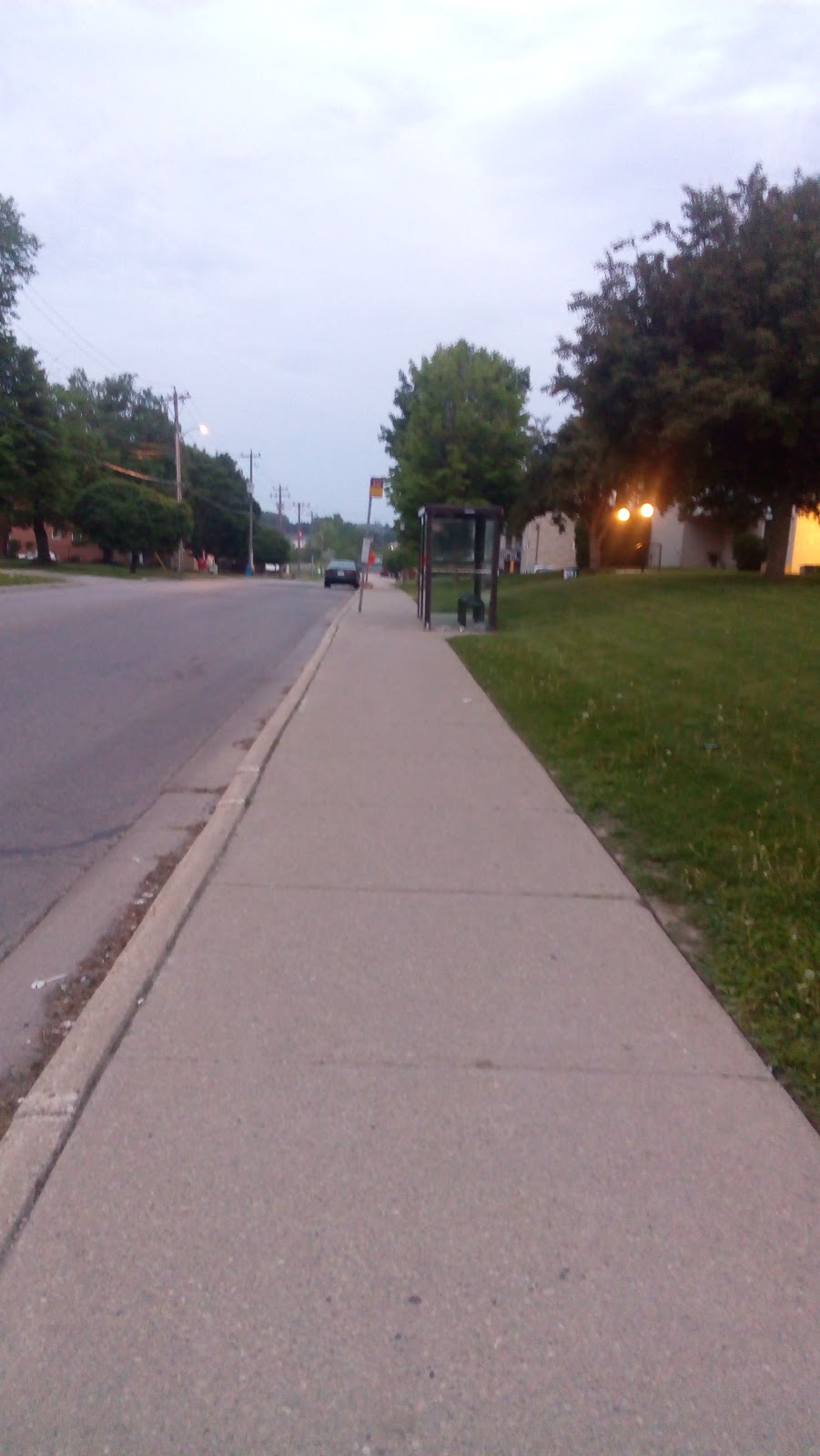 Bus Stop | point of interest | 49 Vanier Dr, Kitchener, ON N2C 2H8, Canada | 2264444403 OR +1 226-444-4403
