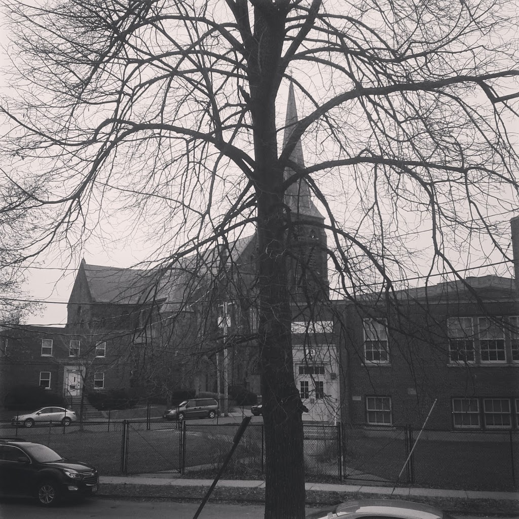 Columbus Park | 641-649 Niagara St, Buffalo, NY 14201, USA
