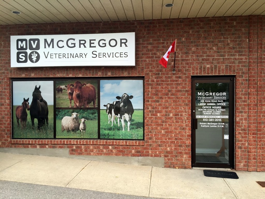 McGregor Veterinary Services | 839 Stone St N, Gananoque, ON K7G 1Z7, Canada | Phone: (613) 381-2015