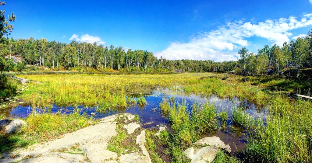 Lake Laurentian Conservation Area | 2309 S Bay Rd, Sudbury, ON P3E 6H7, Canada