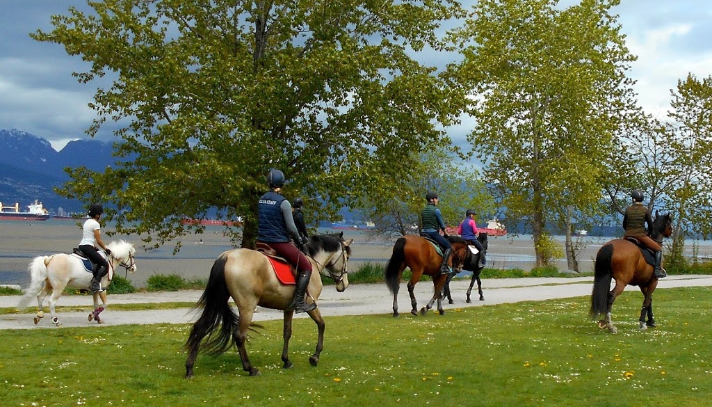 Pinecrest Stables | 7025 Macdonald St, Vancouver, BC V6N 1G2, Canada | Phone: (604) 220-2170