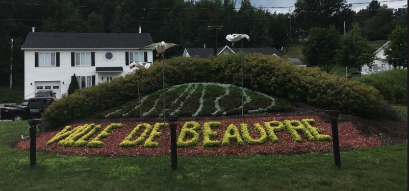 Aqua Bisson | 6 Av. Marcel Legendre, Saint-Tite-des-Caps, QC G0A 4J0, Canada | Phone: (418) 933-6959